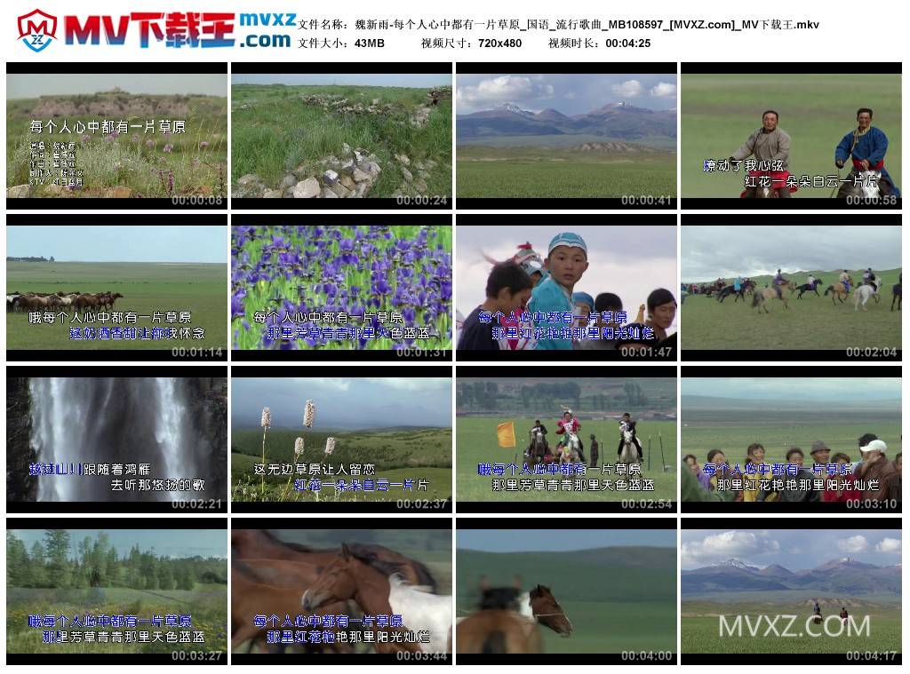 魏新雨-每个人心中都有一片草原_国语_流行歌曲_MB108597